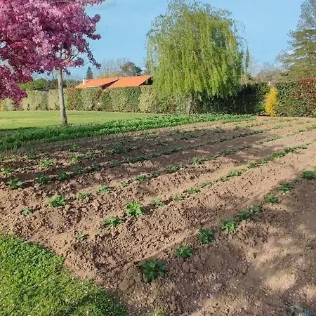 Vacance A La Campagne アパート Saint-Sylvestre-sur-Lot